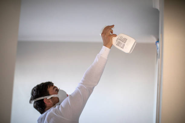 Best Residential Mold Removal  in Bradford, OH
