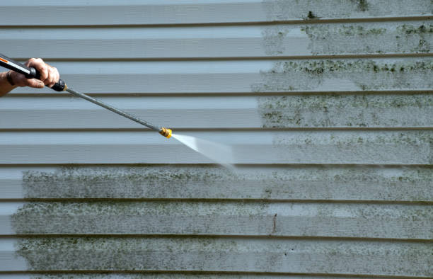 Best Professional Mold Removal  in Bradford, OH