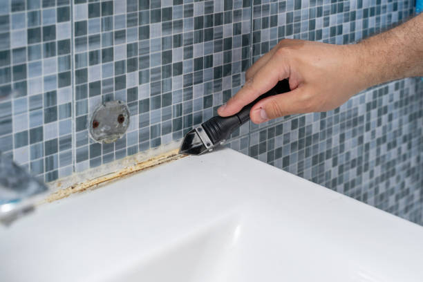 Best Mold Remediation Services  in Bradford, OH